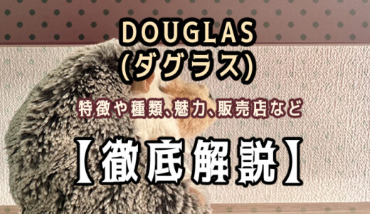 【徹底解説】ダグラスのぬいぐるみをレビュー！実際に購入して感想を紹介！